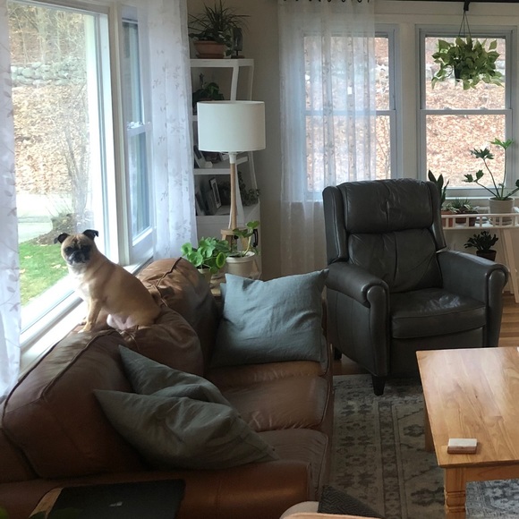 Meet your Posher, Carolyn - Picture 1 of 1